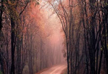 11中9！杜兰特：吉莱斯皮表现非常出色 这能让他建立更多信心.