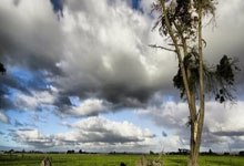 世预赛：国足积极备战沙特队 王大雷表达争胜决心.